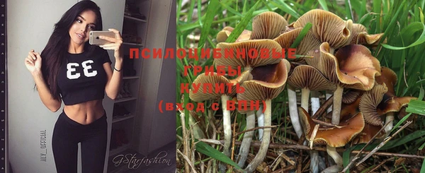 jwh Ельня