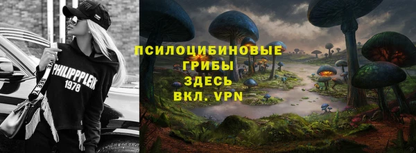 jwh Ельня