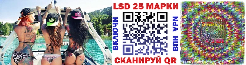 Купить где  Кадников  Марки N-bome 1500мкг 