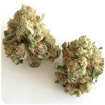 Шишки "White Widow"  (Белая вдова)  Гидропоника -  Бошка VHQ в Кадникове